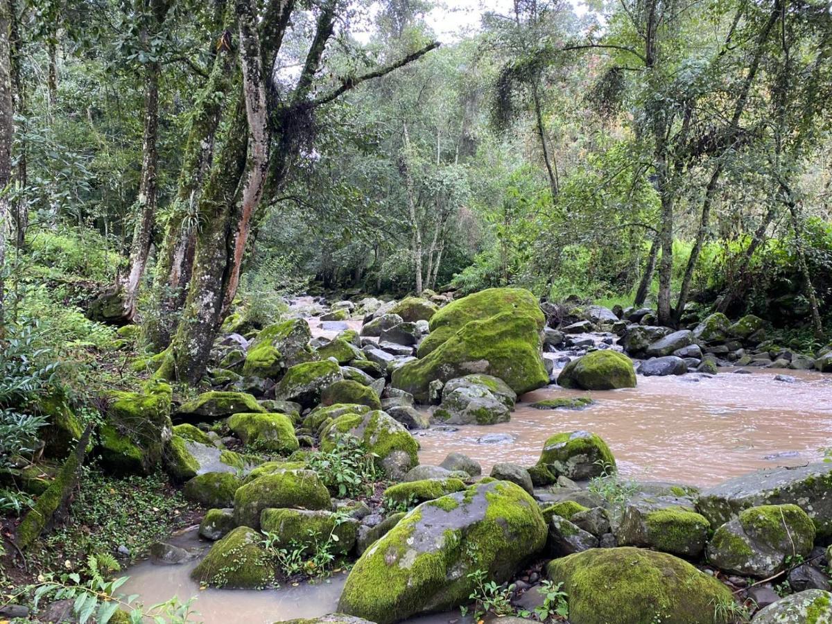 Rancho Campestre Virgen Del Rio Otel Zacatlán Dış mekan fotoğraf
